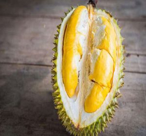 دوریان - Durian