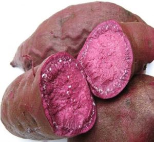 سیب‌زمینی شیرین بنفش - Purple Sweet Potato