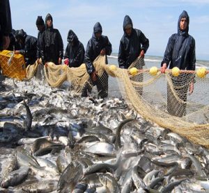 صنعت ماهی گیری – ماهی گیری