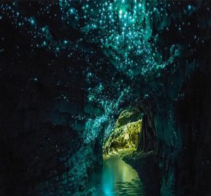 غارهای کرم شب تاب وایتومو -  عجیب‌ترین مکان‌های دنیا